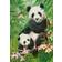 Castorland Panda Brunch 1000 Pieces