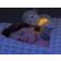 Zazu Max Cuddly Nattlampa