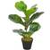 vidaXL Violet Ficus with Pot Kunstig plante