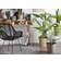 Beliani Areca Palm Konstgjord växt