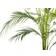 Beliani Areca Palm Konstgjord växt