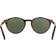 Persol Galleria 900 Collection PO3092SM 901531