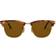 Ray-Ban Clubmaster Fleck Havana Collection RB3016 1160