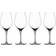 Spiegelau Authentis Vitvinsglas 36cl 4st
