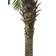 Europalms Phoenix Palm Tree Luxor Konstgjord växt