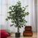 Nearly Natural Ficus Silk Artificial Plant