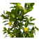 Nearly Natural Lemon Tree with Black Pot Artificial Plant