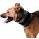 KVP Cervical Collar for Dogs XXS