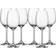 Leonardo Daily Vitvinsglas 37cl 6st