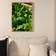 Venture Home Green Leaf Plakat 70x100cm