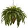 Nearly Natural Boston Fern with Cone Hanging Basket 100.5cm