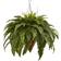 Nearly Natural Boston Fern with Cone Hanging Basket 39.6"