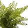 Nearly Natural Ferns with Planter Set Artificial Plant 3pcs
