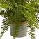 Nearly Natural Ferns with Planter Set Artificial Plant 3pcs