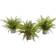 Nearly Natural Ferns with Planter Set Artificial Plant 3pcs
