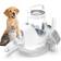 Neakasa P2 Pro Pet Grooming System