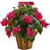 Nearly Natural Bougainvillea in Hanging Basket 18"