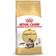 Royal Canin Maine Coon Adult Kattemad 10kg