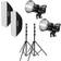 Godox SL60llD Duo Kit