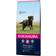 Eukanuba Active Adult Large Breed Kylling 12kg
