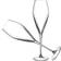 Luigi Bormioli Prosecco Champagne Glass 27cl 2pcs