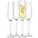 Joyjolt Flutes Layla Collection Champagne Glass 19.8cl 4pcs