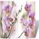 vidaXL Foldable Rumsavdelare 160x170cm