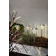 Star Trading Palma Pullert 28cm 4stk