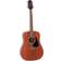 Takamine GD11M