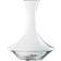 Spiegelau Authentis Wine Carafe