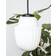 House Doctor Acorn White Pendant Lamp 13.5cm