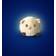 Pabobo Skakis Sheep Nattlampa