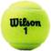 Wilson Championship - 3 bolde