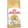 Royal Canin Norwegian Forest Cat 2kg