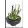 Superfish Floating Pond Plant Basket 22 cm ∅22cm