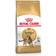 Royal Canin Bengal Adult 2kg