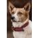 Kentucky Dogwear flettet nylonhundehalsbånd Mørkerød XS