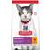 Hill's Science Plan Senior 11+ Cat Food with Chicken 3kg