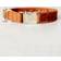 Kentucky Dogwear Dog Collar Velvet Orange