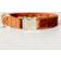 Kentucky Dogwear Dog Collar Velvet Orange