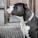 Kentucky Kentucky Dogwear Per Cani