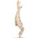 Matchstick Monkey Gigi Giraffe Teether