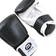 Master Boxing Gloves XL