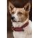 Kentucky Dogwear Hundehalsband Geflochten Nylon