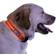 Nite Ize dawg led dog collar red