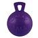 Jolly Pets Tug-N-Toss Ball Color: