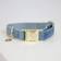 Kentucky Collier Pour Chien Velvet - Bleu