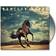 Bruce Springsteen - Western Stars - (Vinilo)