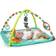 Bright Starts Zig Zag Safari Activity Gym