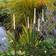 LightsOn Straw Markbelysning 110cm 3st